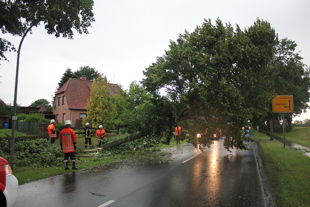 Mehr über den Artikel erfahren Zwei Bäume behindern Verkehr in Wittorf