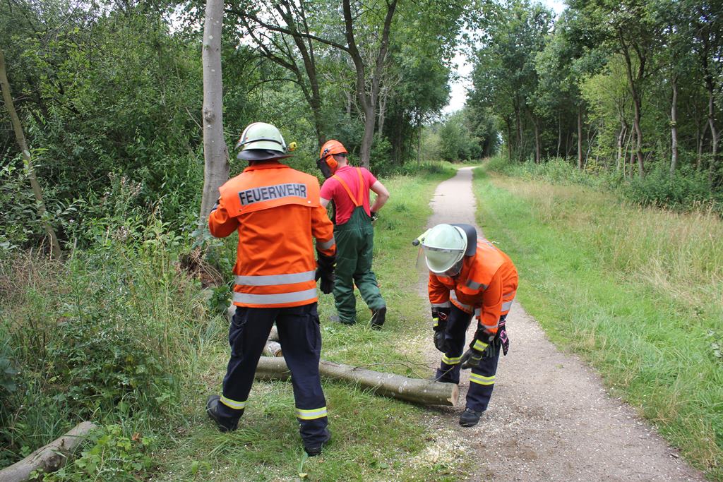 Mehr über den Artikel erfahren Äste behindern Visselsee-Besucher