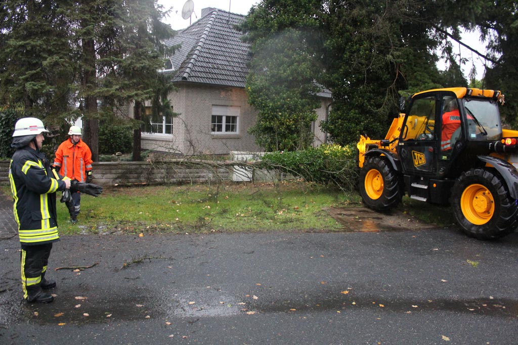 Mehr über den Artikel erfahren Baum fällt von Privatgrundstück auf Straße