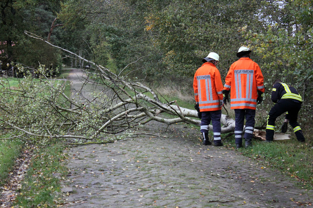 Mehr über den Artikel erfahren Sieben Bäume stürzen in Wittorf auf Straßen