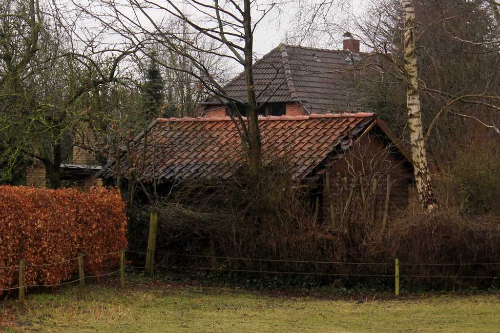 Read more about the article Brennt Gartenhaus in Jeddingen