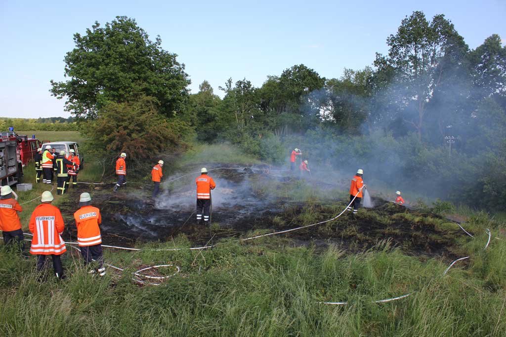 Read more about the article Flächenbrand an der Bahnlinie