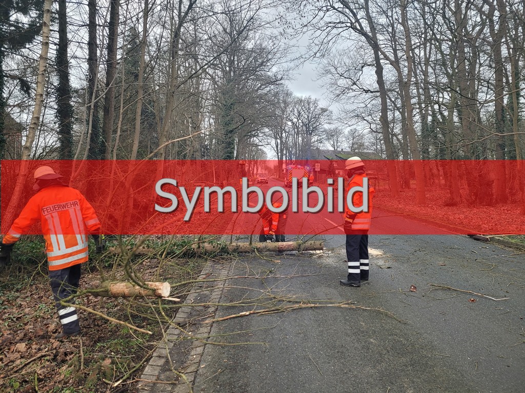 Read more about the article Abgebrochener Ast auf Waldweg