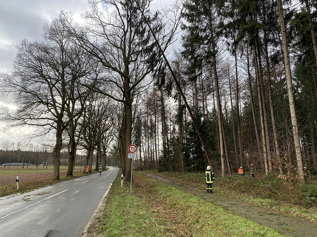 Read more about the article Kräfte der Kettenburger Wehr zu Folgeeinsatz „Baum droht zu Fallen“ alarmiert