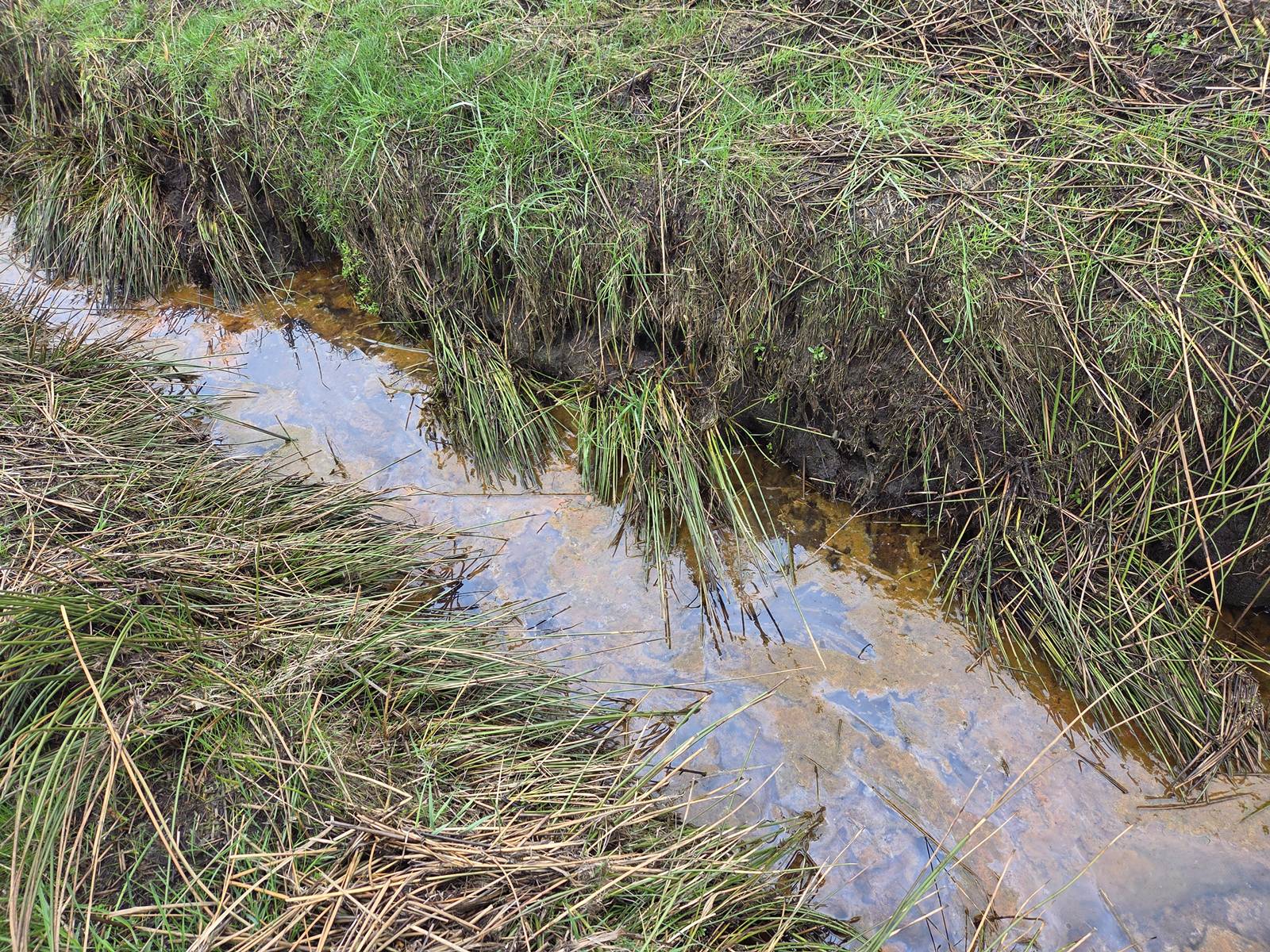 Mehr über den Artikel erfahren Vermeintliche Gewässerverunreinigung in Jeddingen